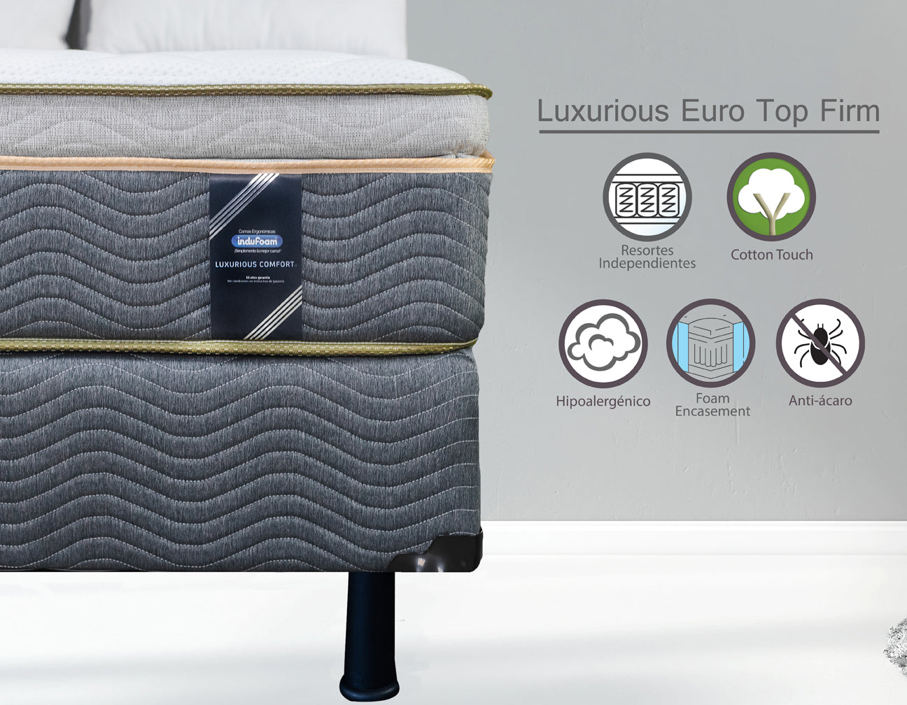 Luxurious Euro Top Luxury Firm