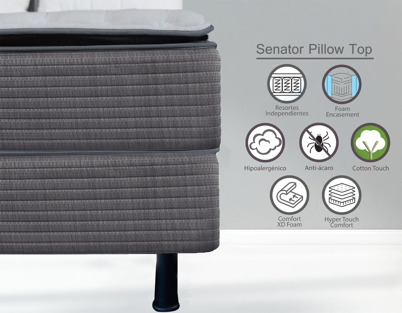 Maybed Senator Pillow Top Luxury Firm