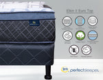 Serta Perfect Sleeper Elkin ll Euro Top Firm New Collections Resortes Reforzados (Precios Reducidos)